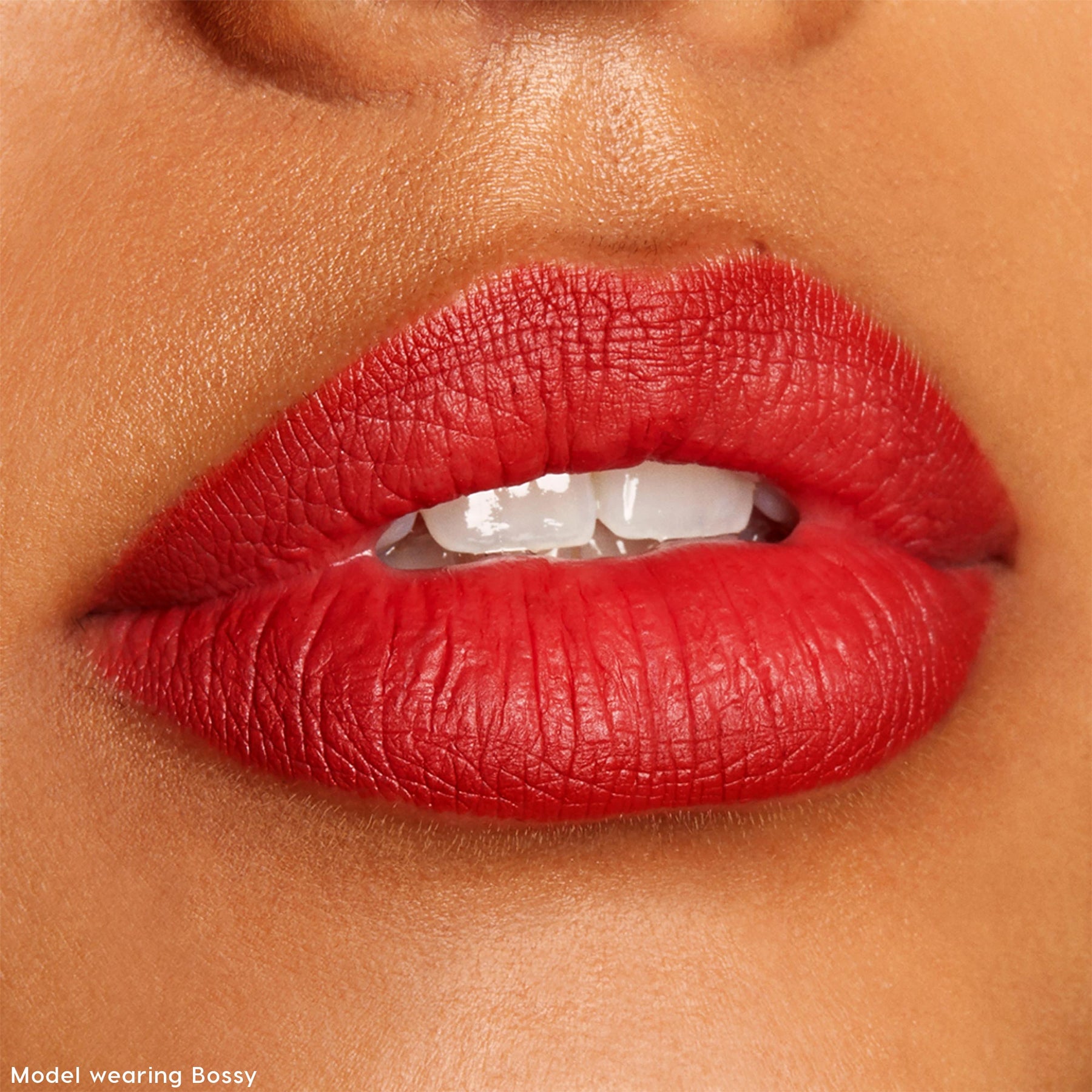 The Lil Box of Lippie Pencils - Elegant Complete Lip Mood