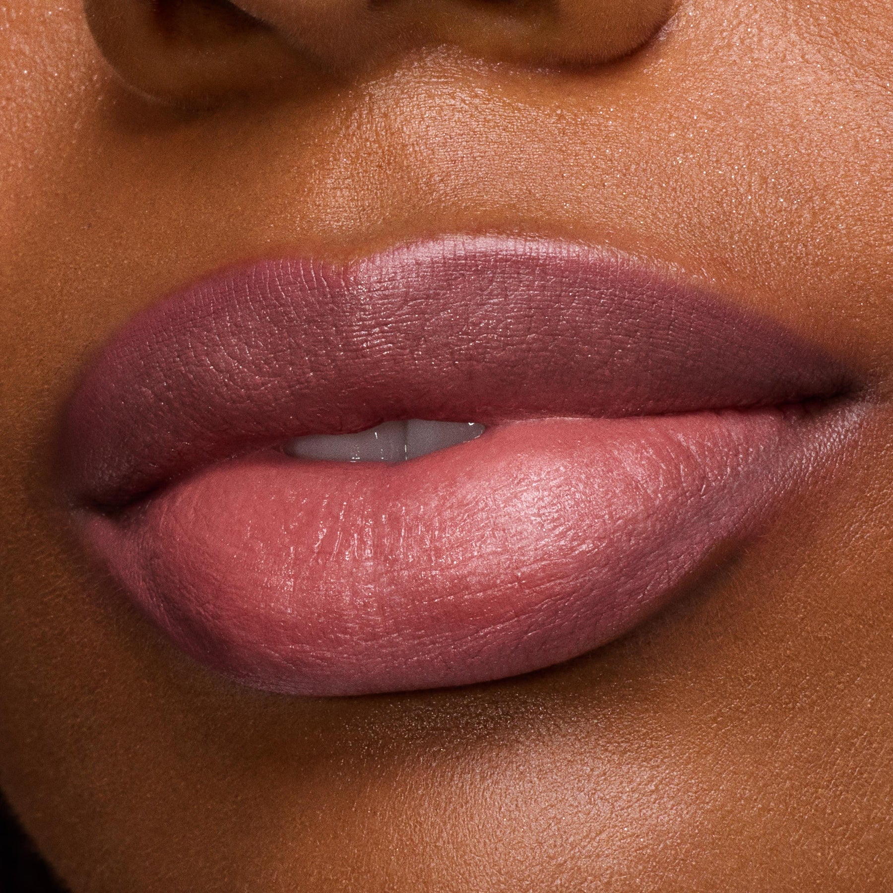 Anti-Hero - Shimmering Polished Lip Essential
