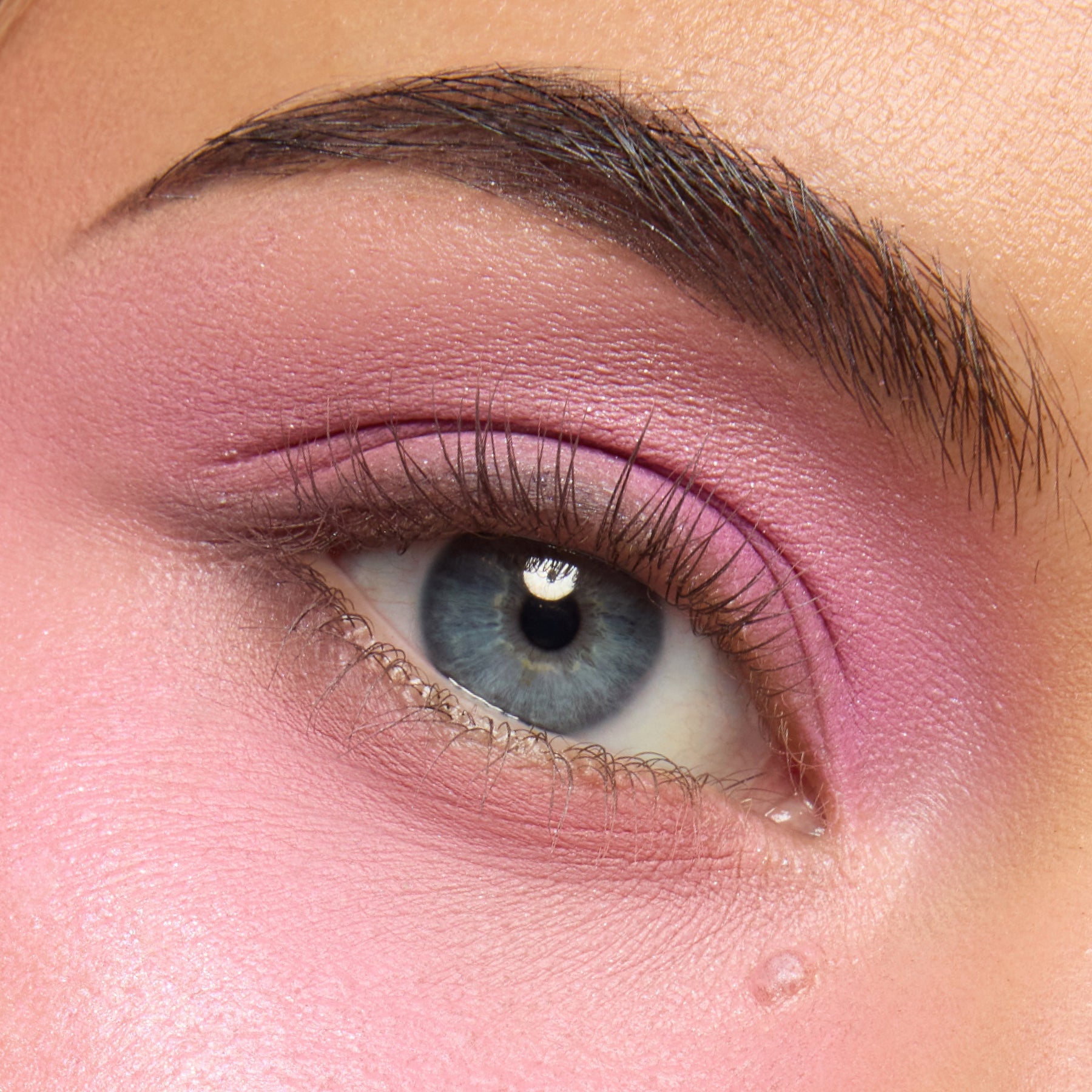 Pink Dreams Collection - Rosy Inspired Beauty Portfolio