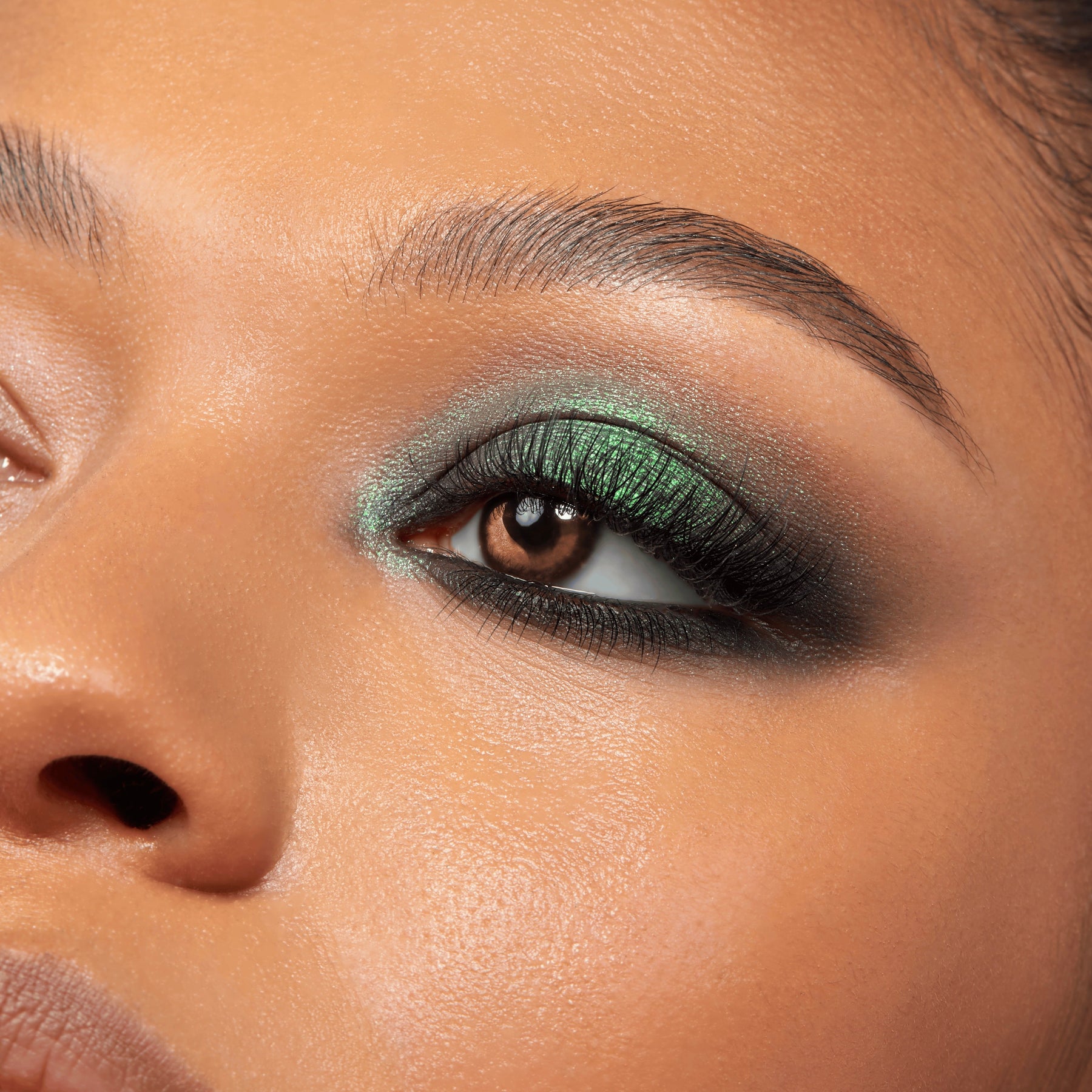 Twilight - Matte Sophisticated Eye Wardrobe