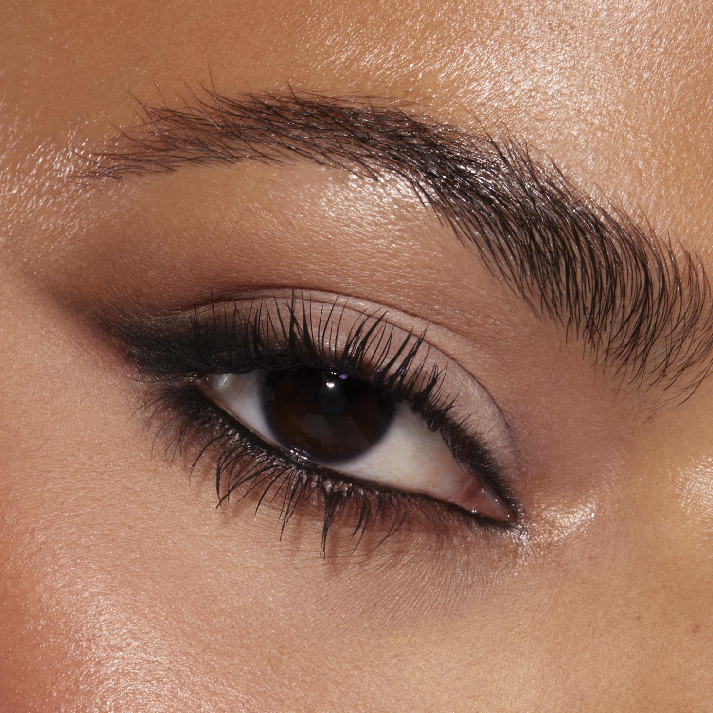 Stone Cold Fox - Fresh Studio Eye Set
