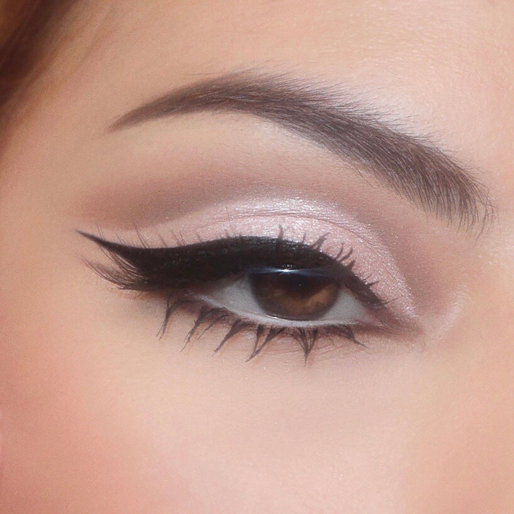 Stone Cold Fox - Fresh Studio Eye Set