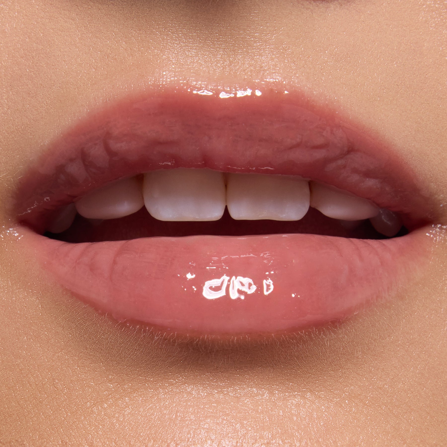 Noble Steed - Lasting Coordinated Lip Palette