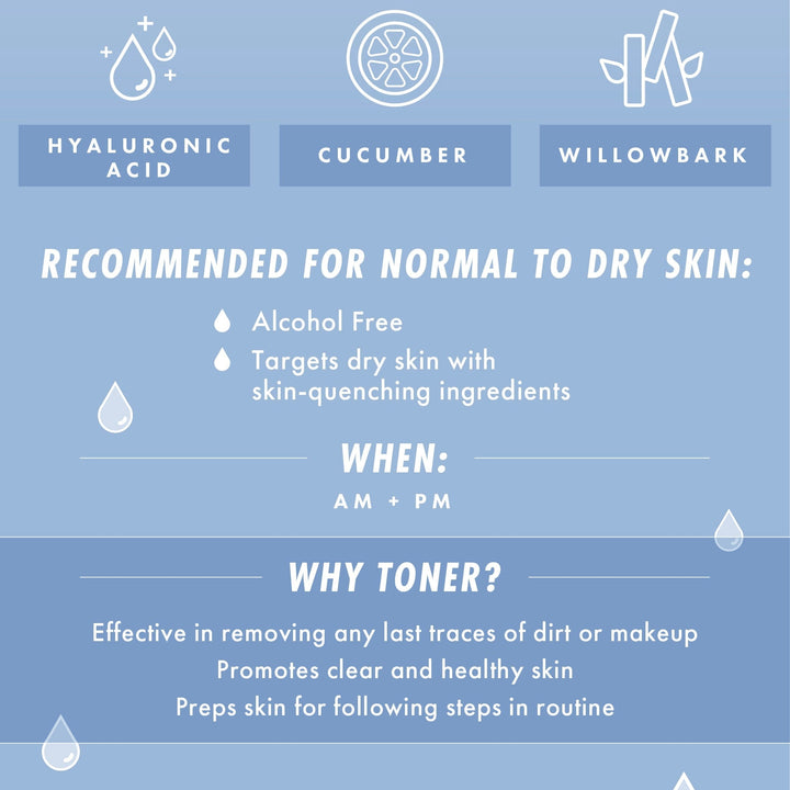 Waterfall Gentle Tonic - Dewy Nourishing Skin Moisture