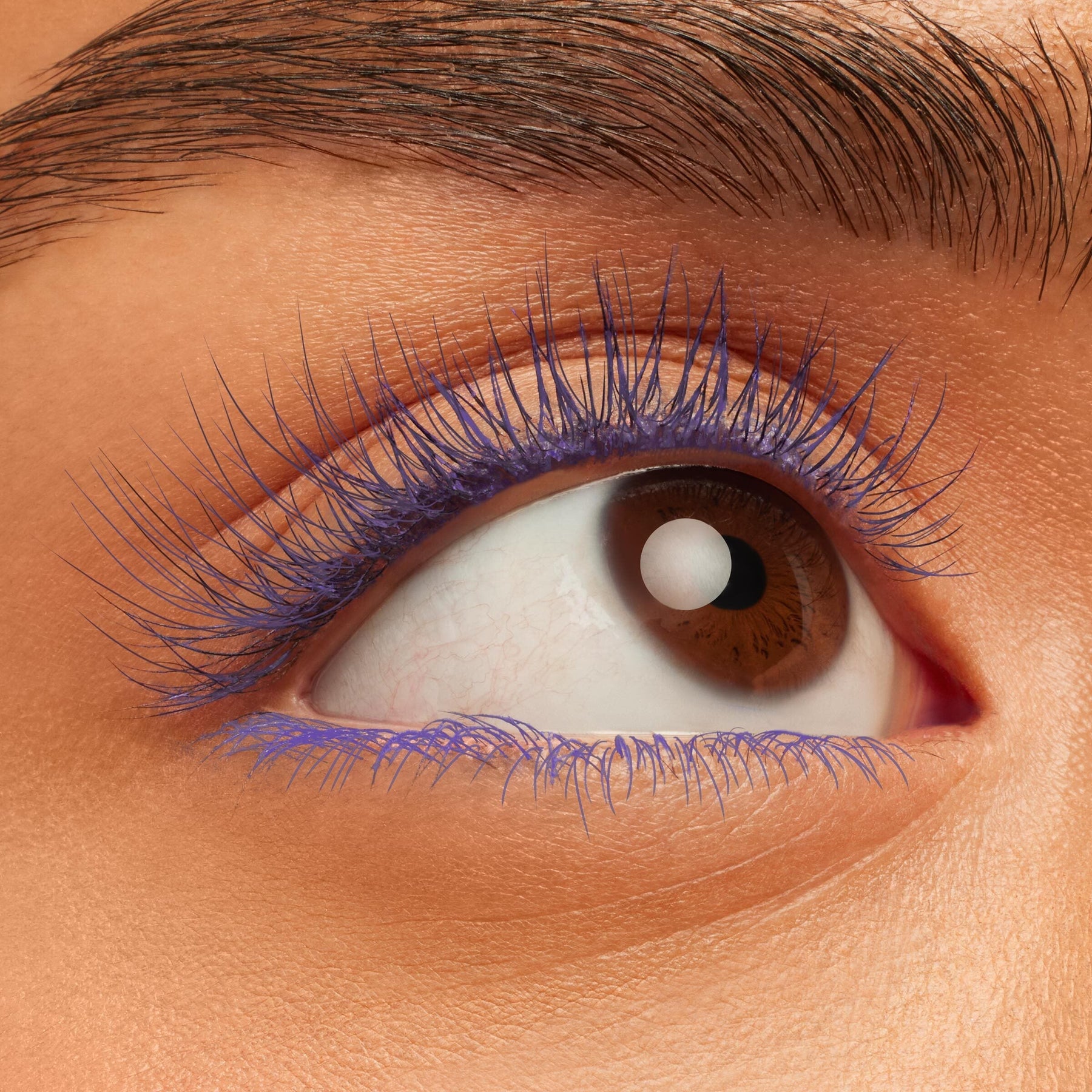 Purple Prose - Playful Refined Lash Routine