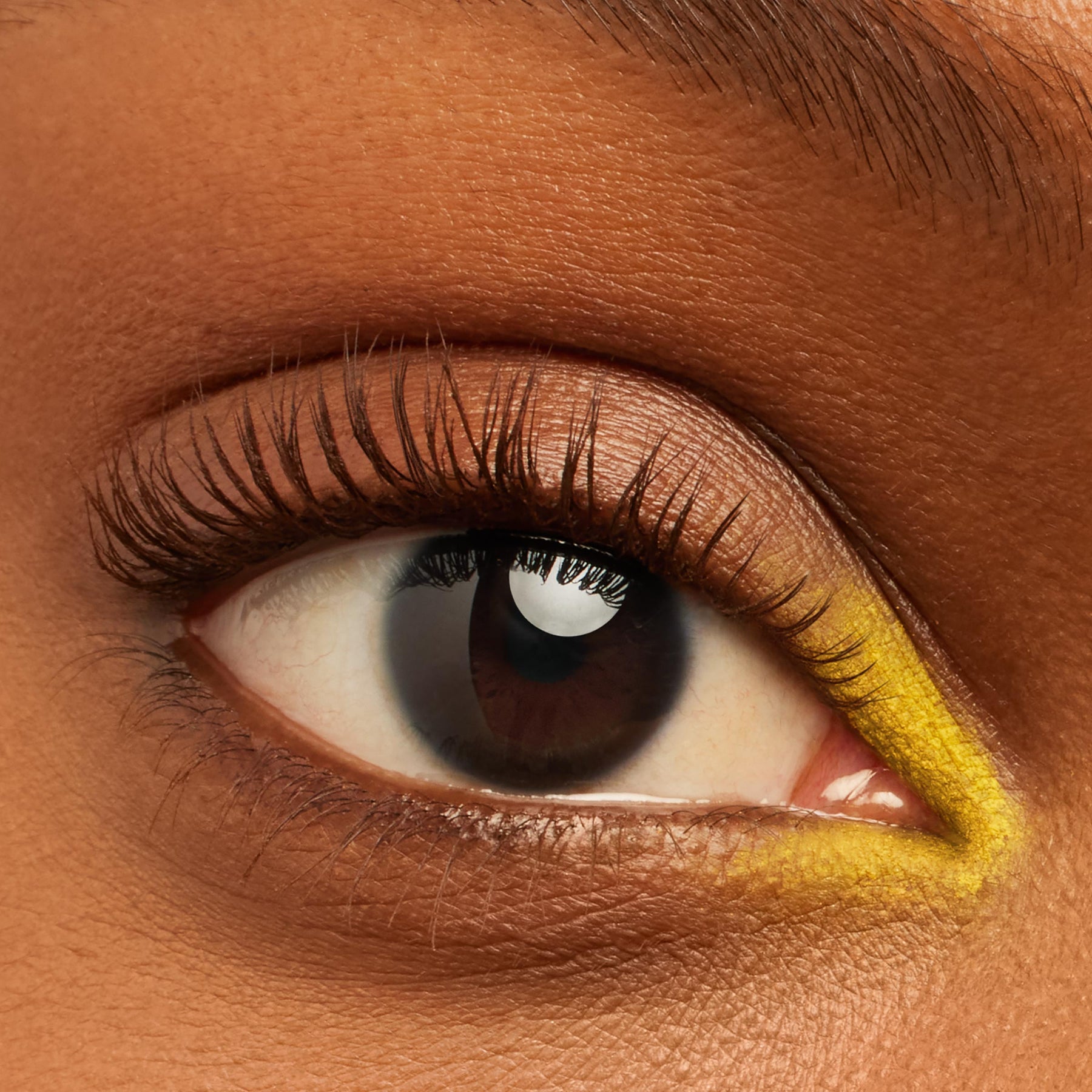 Brownie Points - Fresh Deluxe Lash Routine