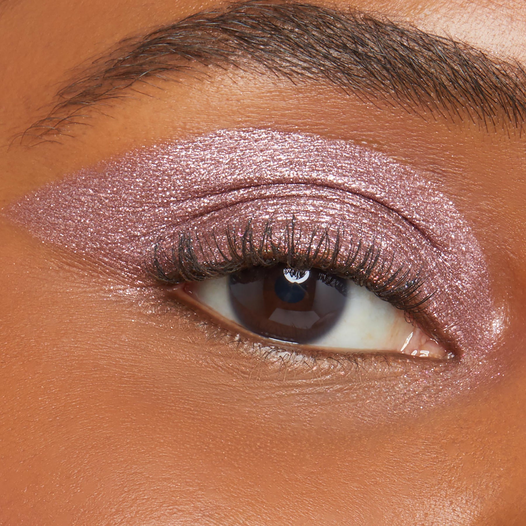 Neutral Swipe - Featherlight Modern Eye Duo