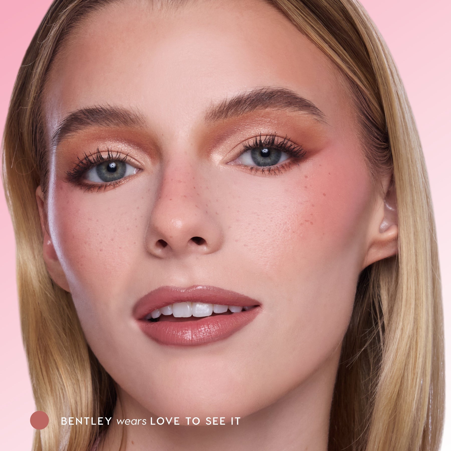 Love to See It - Plush Editorial Cheek Essential