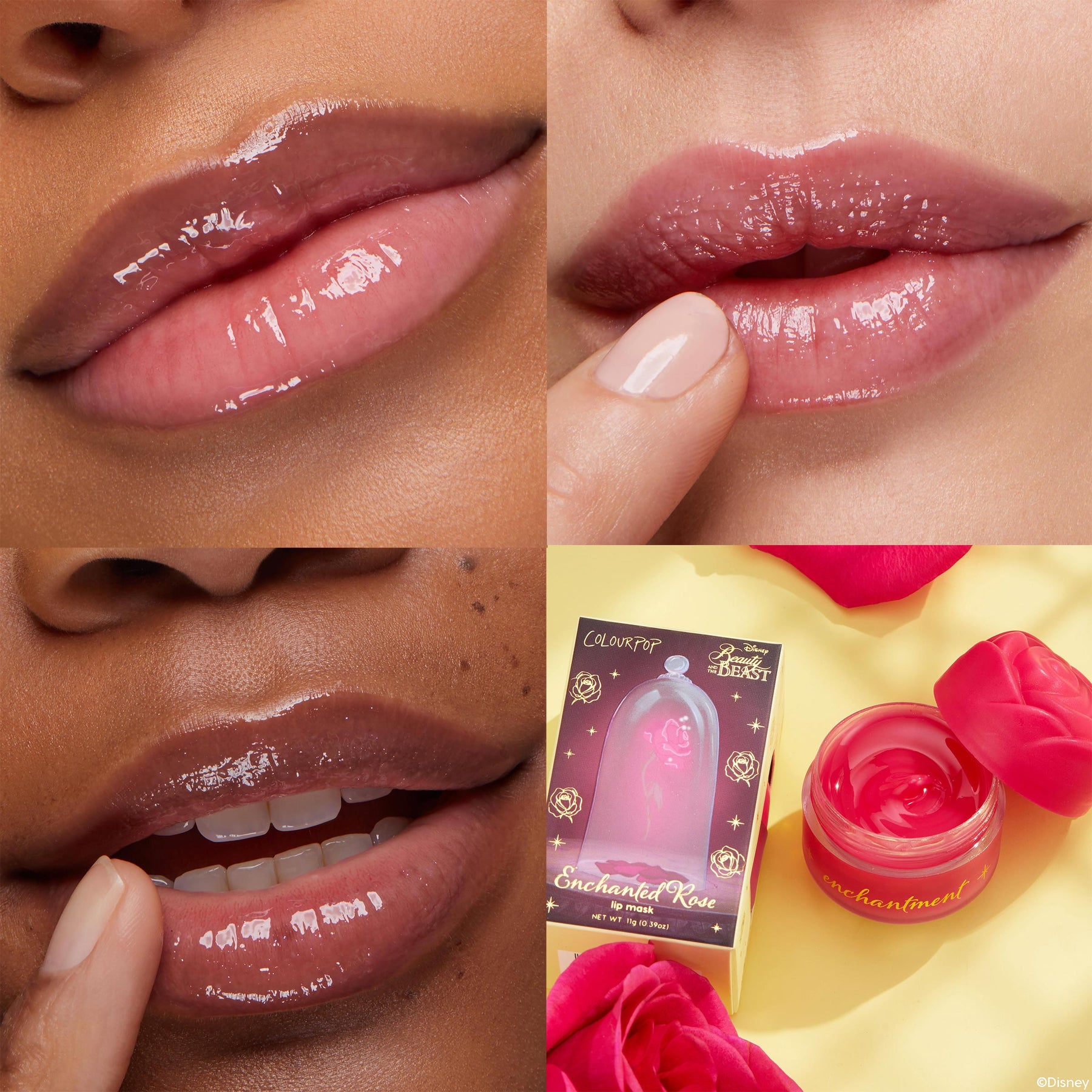 Enchanted Rose - Multidimensional Premium Lip Edit