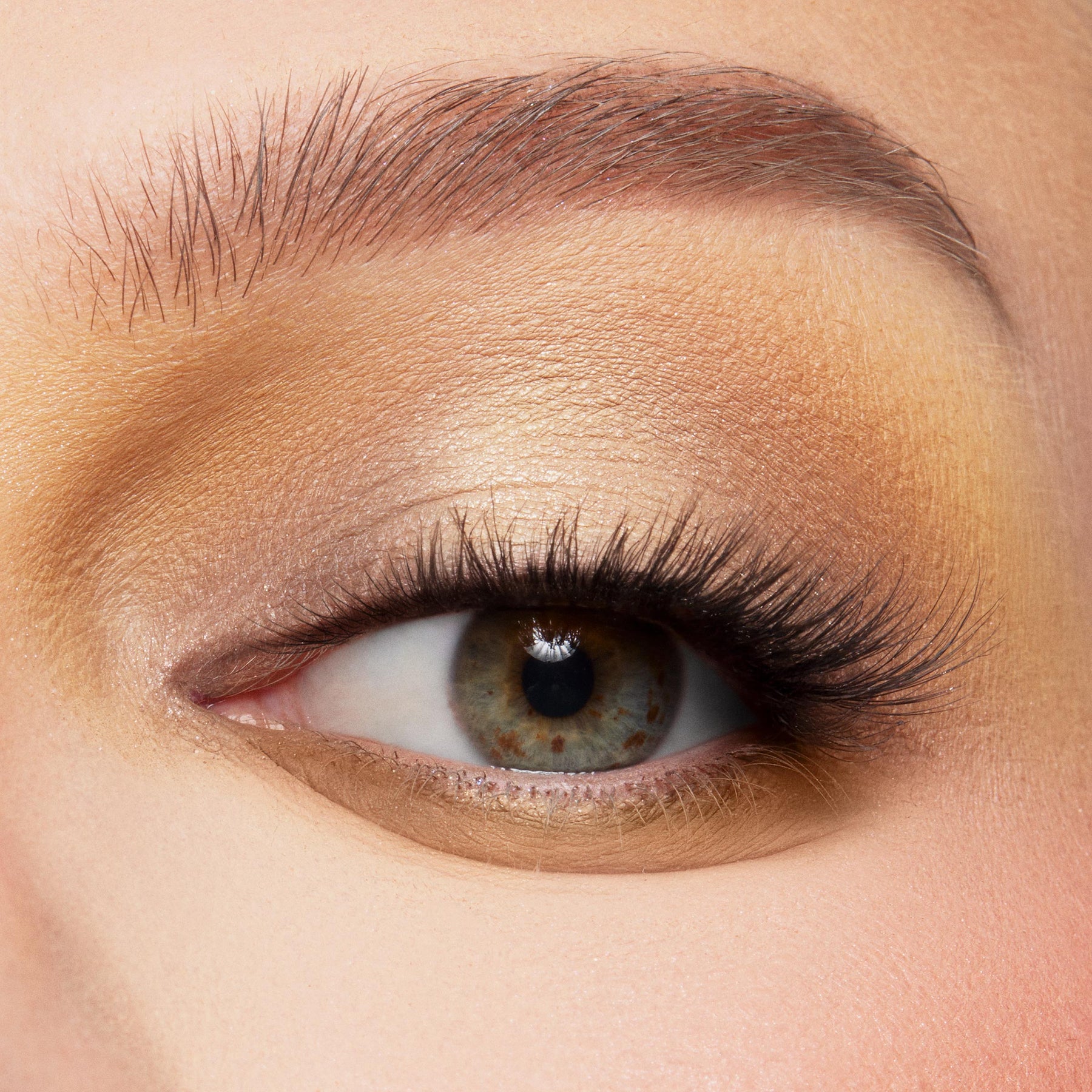 The Toys Are Here - Silky Timeless Eye Palette