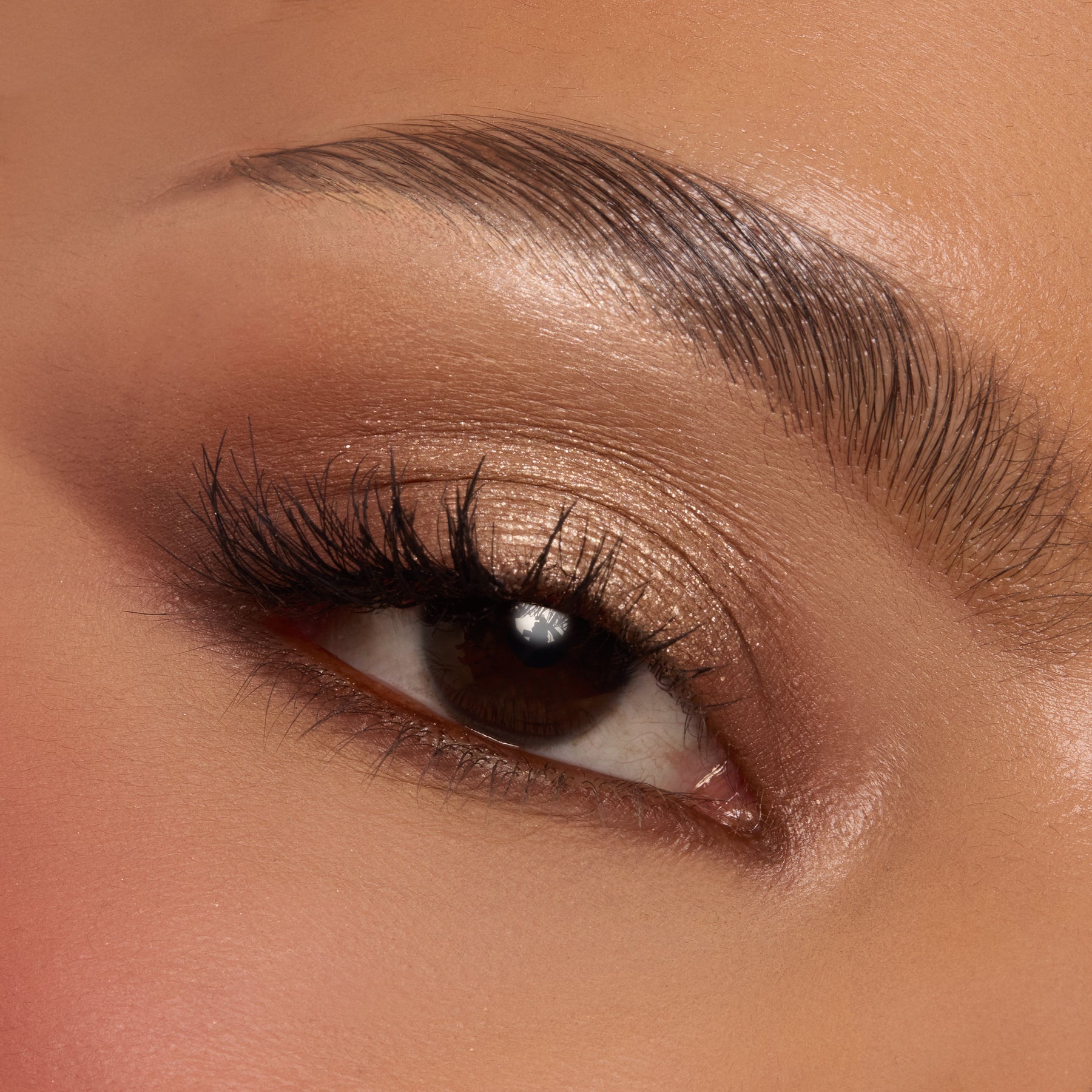 Deja Brew - Dewy Daily Eye Collection